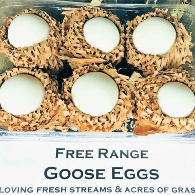 Free Range Goose Eggs