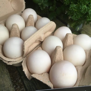 Free Range Duck Eggs