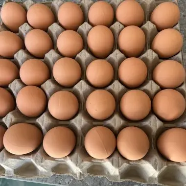 Rubber Nest Eggs – discourages egg pecking