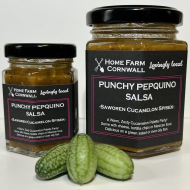 Punchy Pepquinos (Cucamelon) Salsa