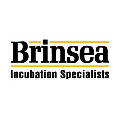 Choosing an Incubator